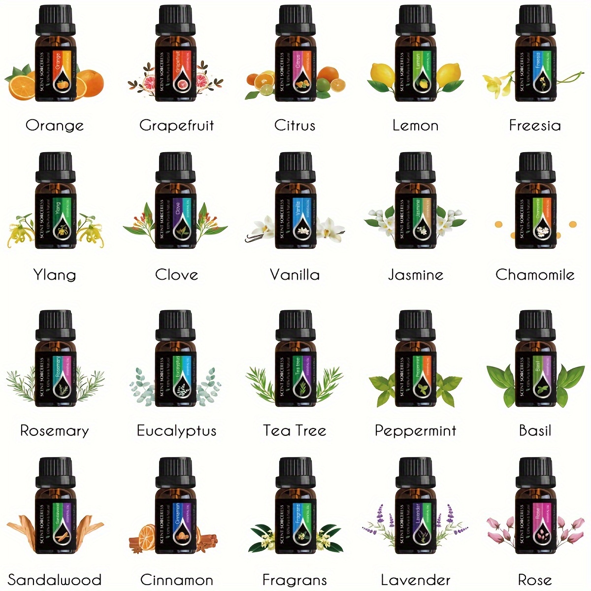 20 pz/set Set di Olio Essenzia - Perfume Fragrance Diffuser recensione e prezzo