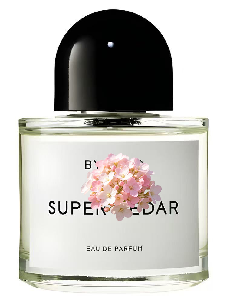 Eau de Parfum Unisex 100ml 3.4 - Perfume Adrien Fragrance recensione e prezzo