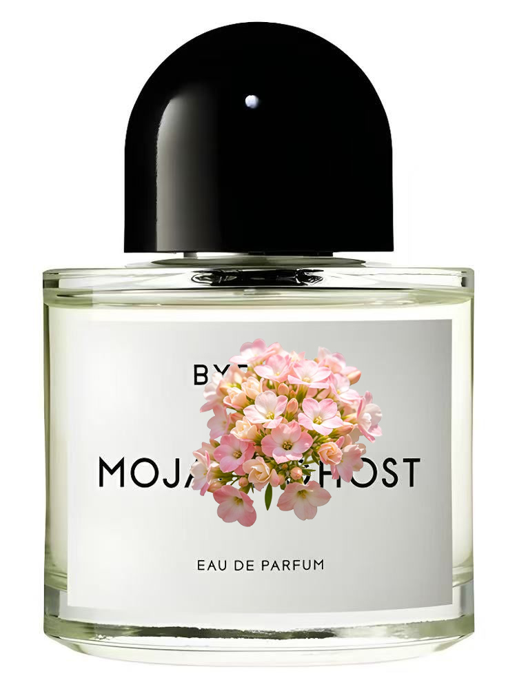 Eau de Parfum Unisex 100ml 3.4 - Perfume Adrien Fragrance recensione e prezzo